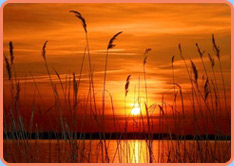 Sonnenuntergang, Psycho-Neuro-Kinesiologie